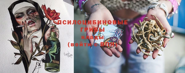 мет Ладушкин